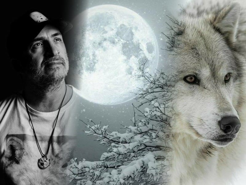 il lupo bianco